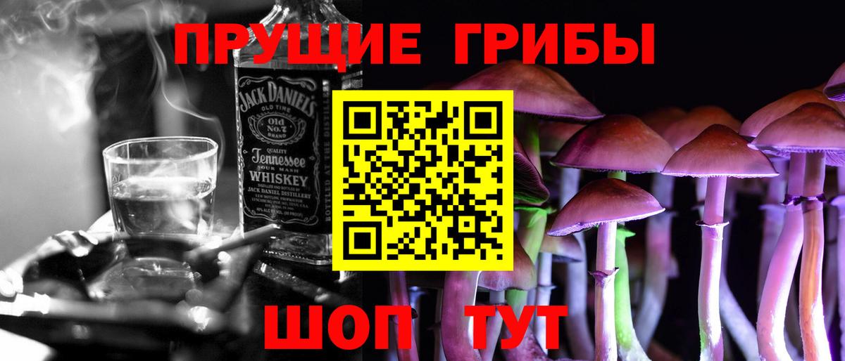 Псилоцибиновые грибы Psilocybine cubensis Первоуральск